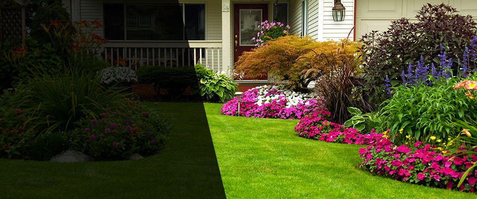 Camden Landscapers